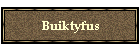 Buiktyfus
