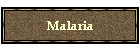 Malaria