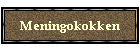 Meningokokken